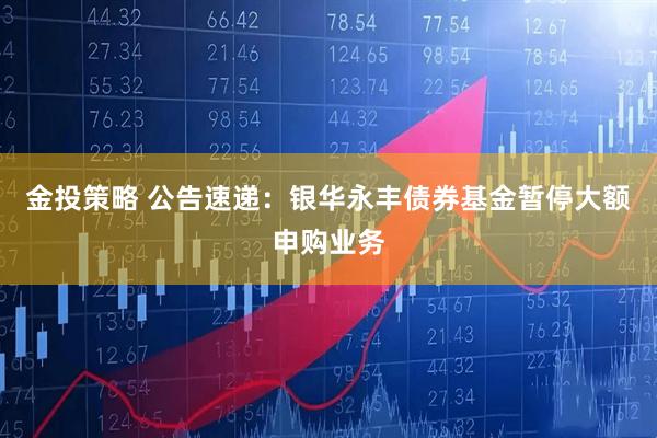 金投策略 公告速递：银华永丰债券基金暂停大额申购业务