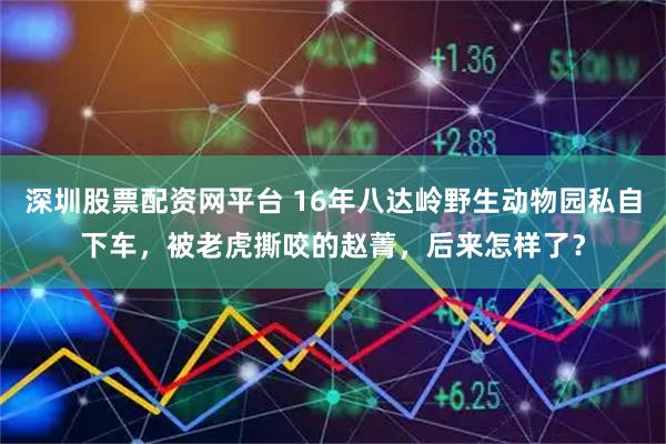 深圳股票配资网平台 16年八达岭野生动物园私自下车，被老虎撕咬的赵菁，后来怎样了？