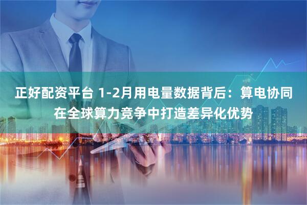 正好配资平台 1-2月用电量数据背后:算电协同在全球算力竞争中打造差异化优势
