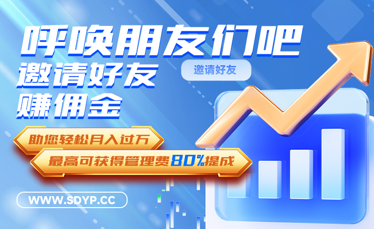 淘配网配资